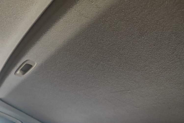Used Toyota Prado 2010 4.0L Automatic TX-L Headliner