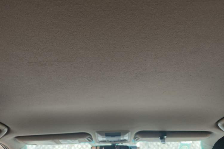 Used Toyota Prado 2010 2.7L Automatic Standard Edition Headliner
