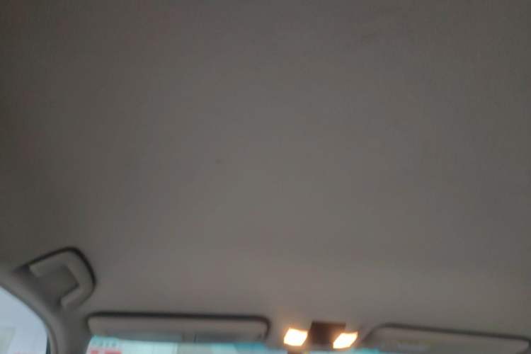 Used Toyota Prado 2010 2.7L Automatic Standard Edition Headliner