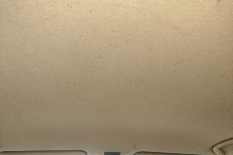 Used Toyota Prado 2010 2.7L Automatic Standard Edition Headliner