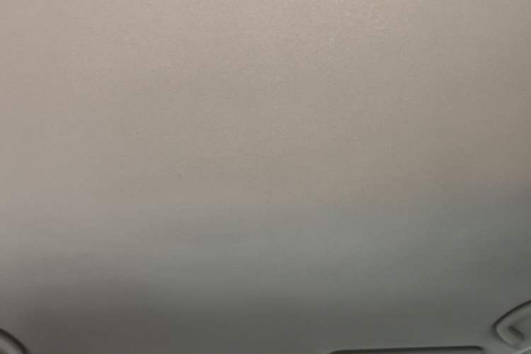 Used Toyota Prado 2010 2.7L Automatic Deluxe Edition Headliner