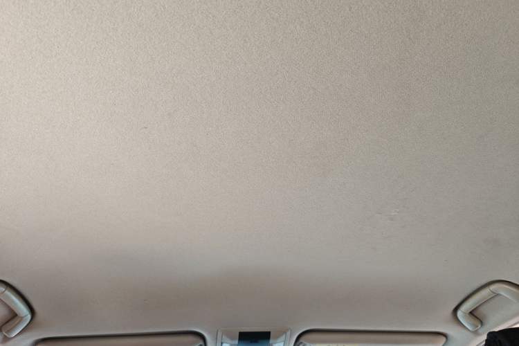 Used Toyota Prado 2010 2.7L Automatic Deluxe Edition Headliner