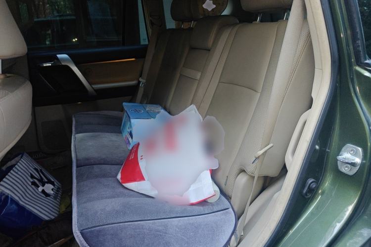 Used Toyota Prado 2010 4.0L Automatic TX-L NAVI Left Rear Seat
