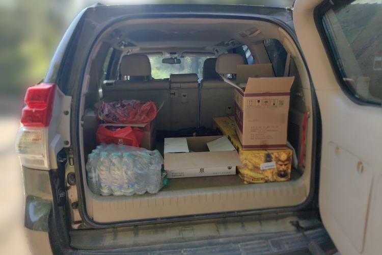 Used Toyota Prado 2010 4.0L Automatic VX Trunk