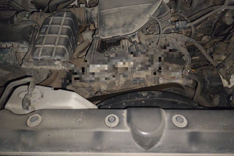 Used Toyota Prado 2010 2.7L Automatic Deluxe Edition Engine Bay