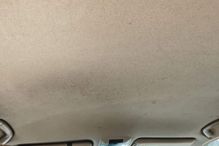 Used Toyota Prado 2010 2.7L Automatic Standard Edition Headliner