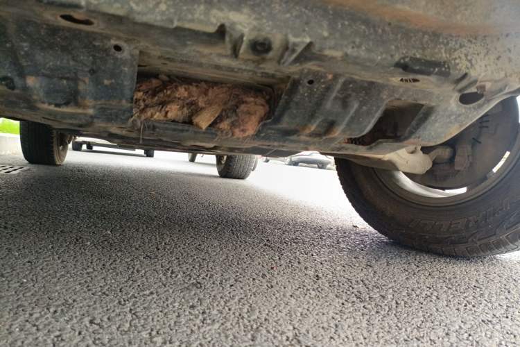 Used Toyota Prado 2010 4.0L Automatic TX-L Chassis Front