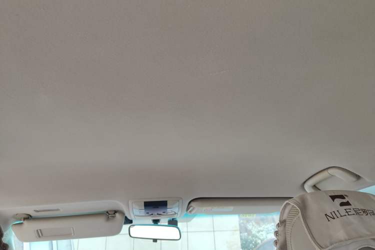 Used Toyota Prado 2010 2.7L Automatic Standard Edition Headliner