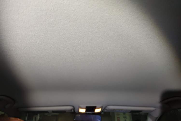 Used Toyota Prado 2010 2.7L Automatic Deluxe Edition Headliner
