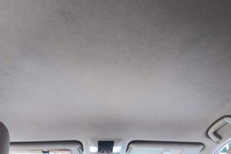 Used Toyota Prado 2010 2.7L Automatic Deluxe Edition Headliner