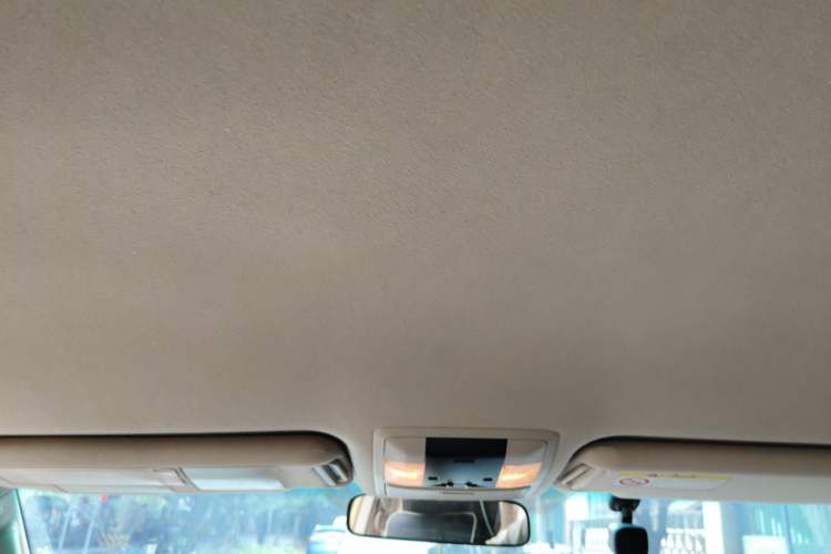 Used Toyota Prado 2010 2.7L Automatic Deluxe Edition Headliner