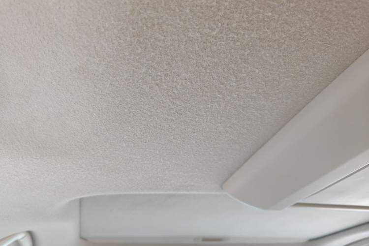 Used Toyota Prado 2010 4.0L Automatic TX-L NAVI Headliner