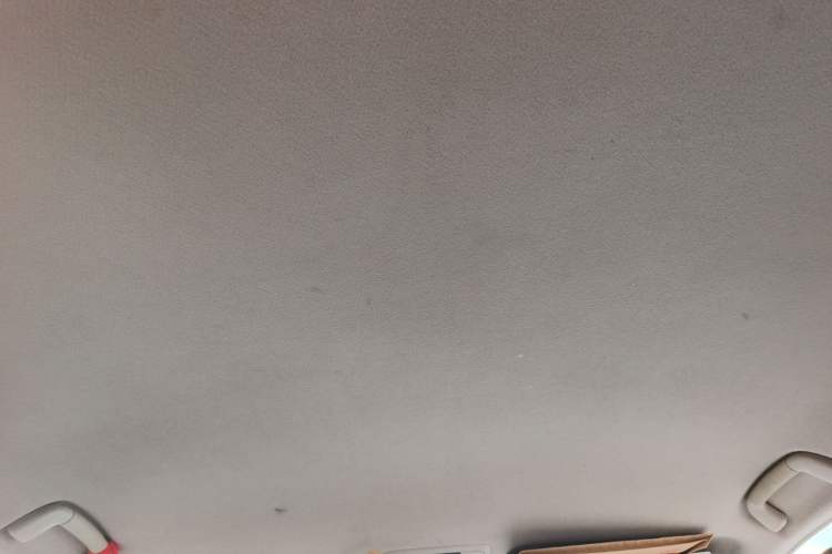 Used Toyota Prado 2010 2.7L Automatic Deluxe Edition Headliner
