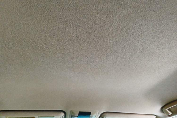 Used Toyota Prado 2010 2.7L Automatic Deluxe Edition Headliner