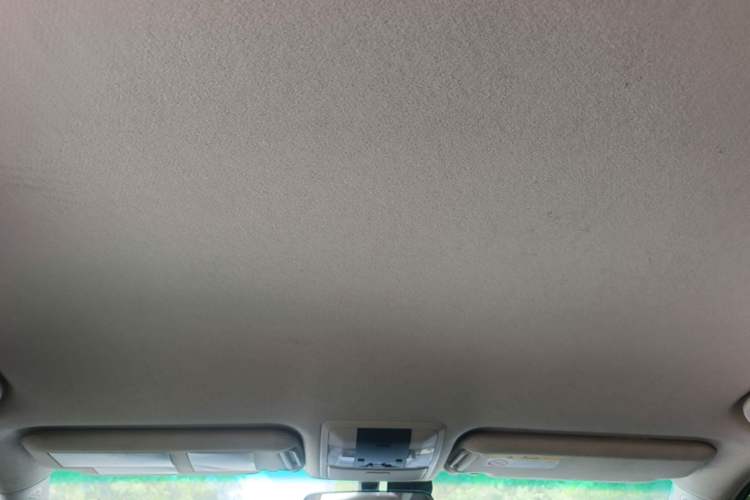Used Toyota Prado 2010 2.7L Automatic Standard Edition Headliner