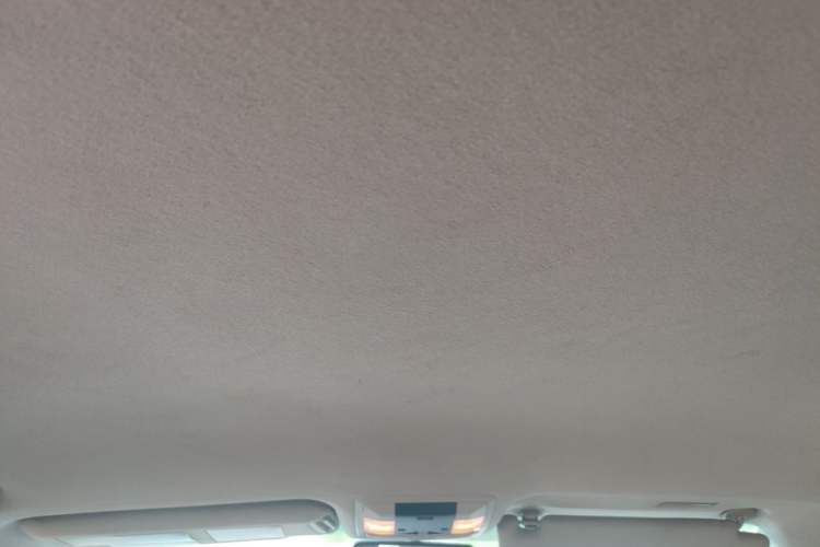 Used Toyota Prado 2010 2.7L Automatic Standard Edition Headliner