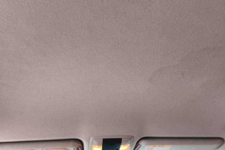 Used Toyota Prado 2010 2.7L Automatic Standard Edition Headliner