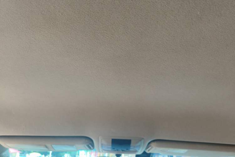 Used Toyota Prado 2010 2.7L Automatic Standard Edition Headliner