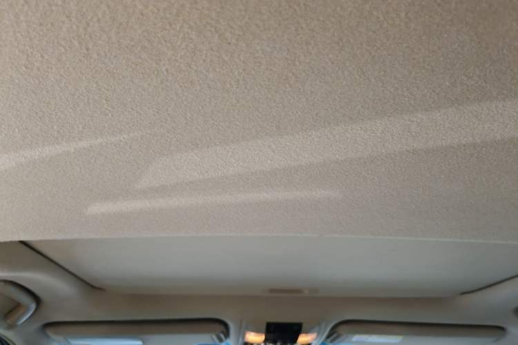 Used Toyota Prado 2010 4.0L Automatic TX-L Headliner