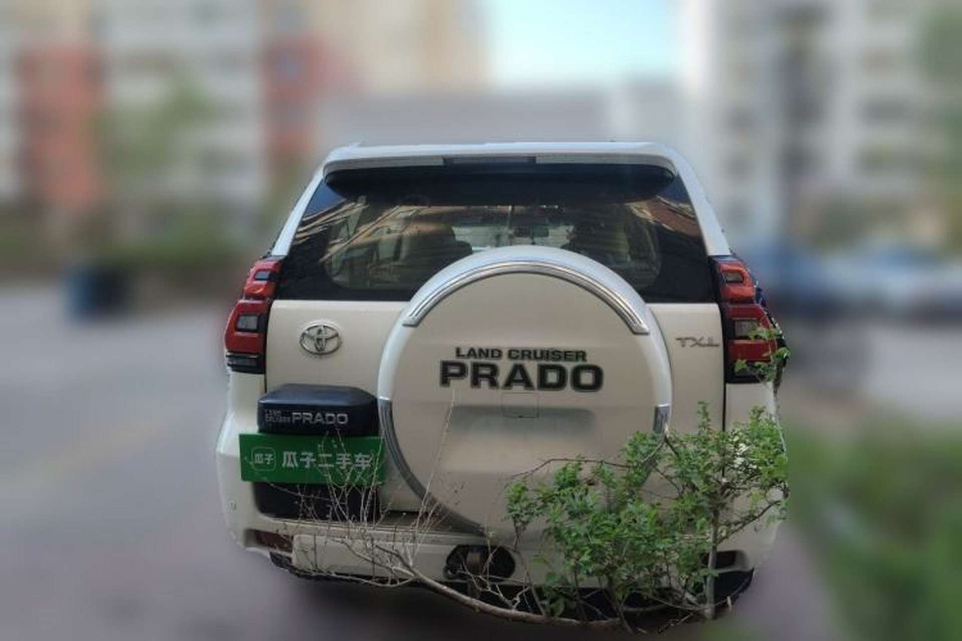 Used Toyota Prado  Rear