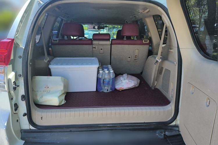 Used Toyota Prado 2010 2.7L Automatic Standard Edition Trunk