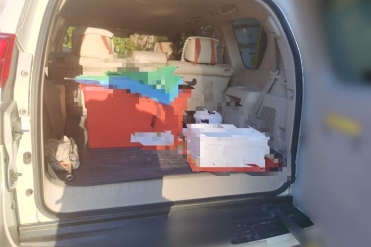 Used Toyota Prado  Trunk