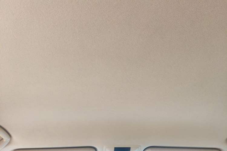 Used Toyota Prado  Headliner
