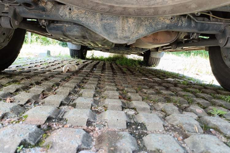 Used Toyota Prado 2014 2.7L Middle East Version Parallel Import Chassis Rear