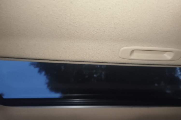 Used Toyota Prado 2014 4.0L Automatic TX-L Headliner