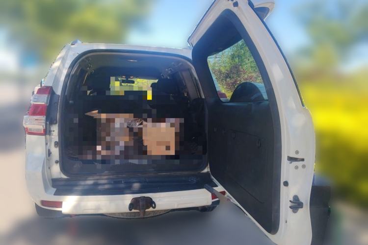 Used Toyota Prado  Trunk