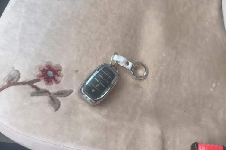 Used Toyota Prado  Vehicle Key