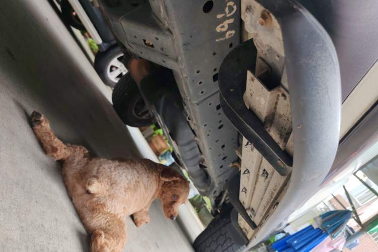 Used Toyota Prado 2015 2.7L Parallel Import Chassis Front Left