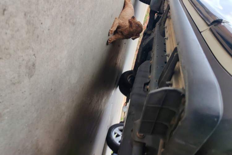 Used Toyota Prado 2015 2.7L Parallel Import Chassis Rear Left