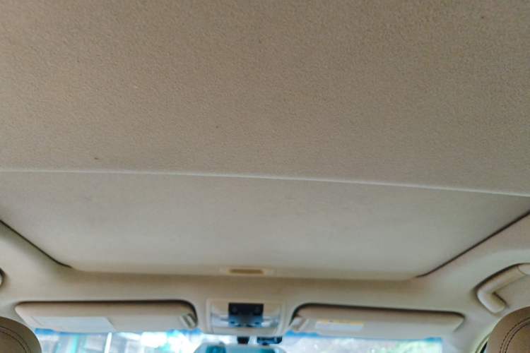 Used Toyota Prado 2015 2.7L Automatic Luxury Edition Headliner