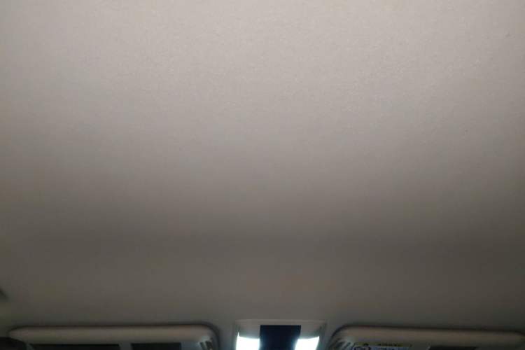 Used Toyota Prado  Headliner
