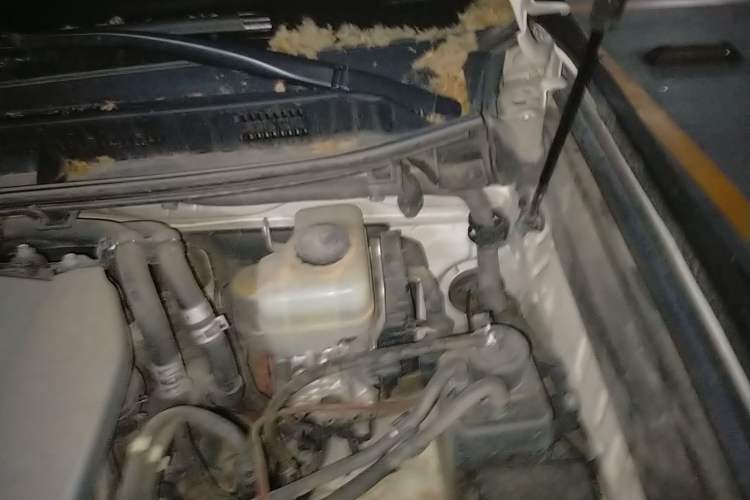 Used Toyota Prado 2016 3.5L Automatic TX-L Engine Bay Left