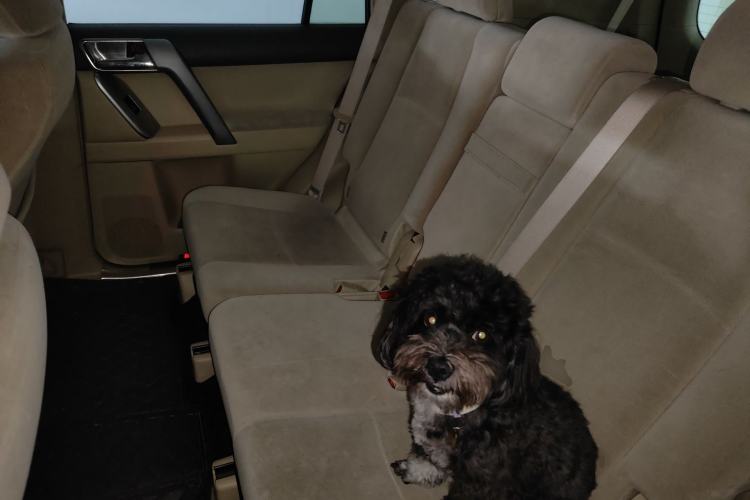 Used Toyota Prado  Left Rear Seat