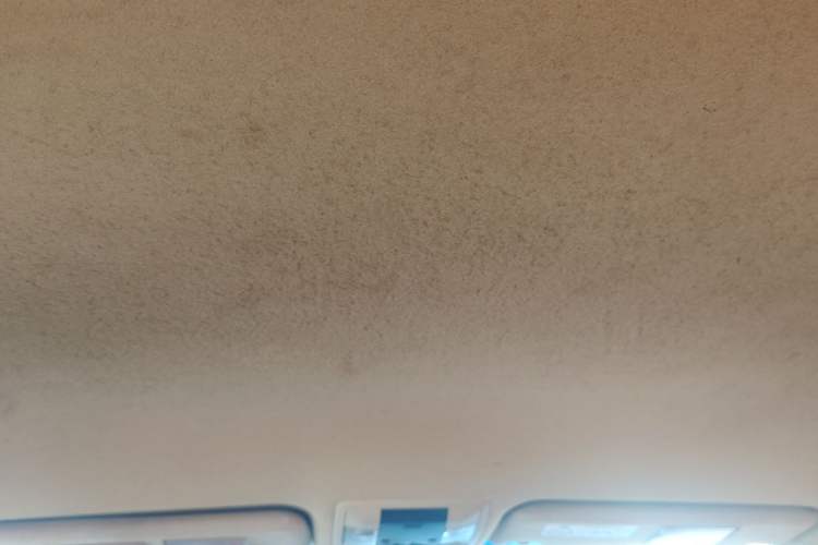 Used Toyota Prado  Headliner