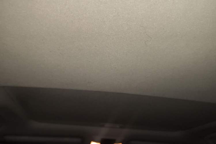 Used Toyota Prado 2016 3.5L Automatic TX-L Headliner