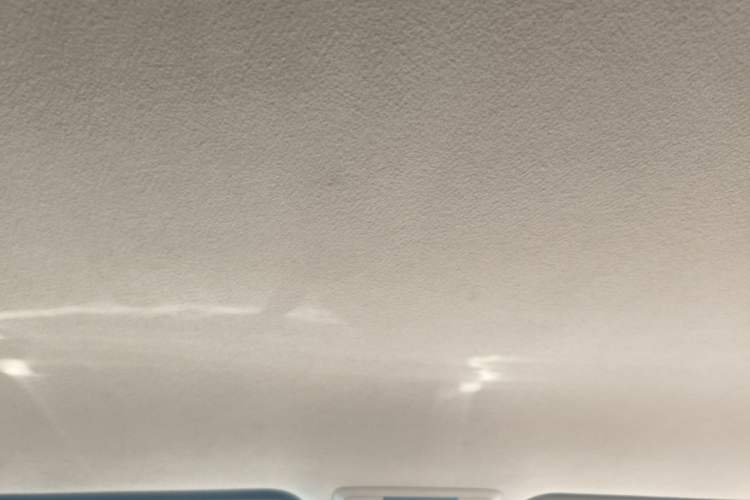 Used Toyota Prado  Headliner