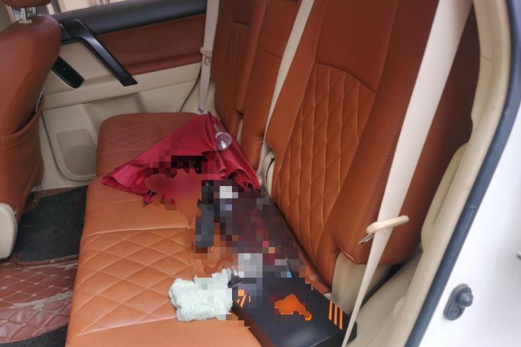 Used Toyota Prado  Left Rear Seat