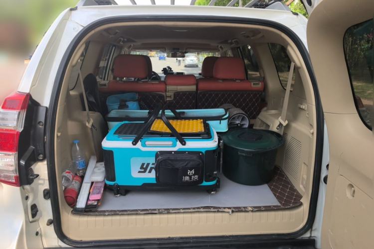 Used Toyota Prado  Trunk