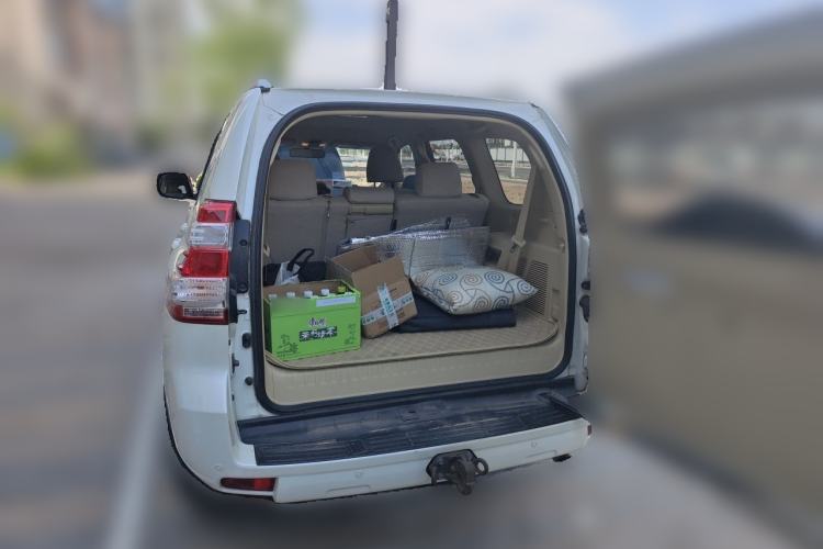 Used Toyota Prado  Trunk
