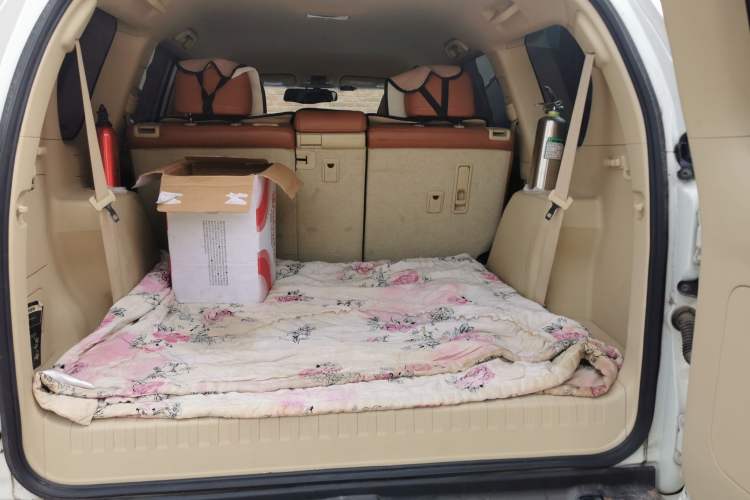 Used Toyota Prado  Trunk