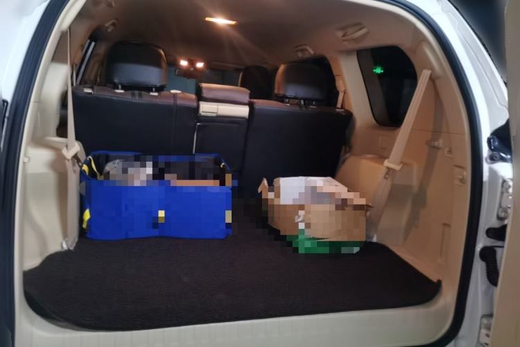 Used Toyota Prado  Trunk