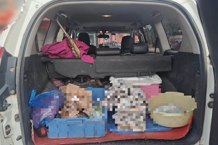 Used Toyota Prado  Trunk