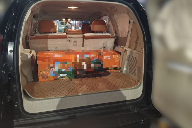 Used Toyota Prado 2018 4.0L Parallel Import Trunk