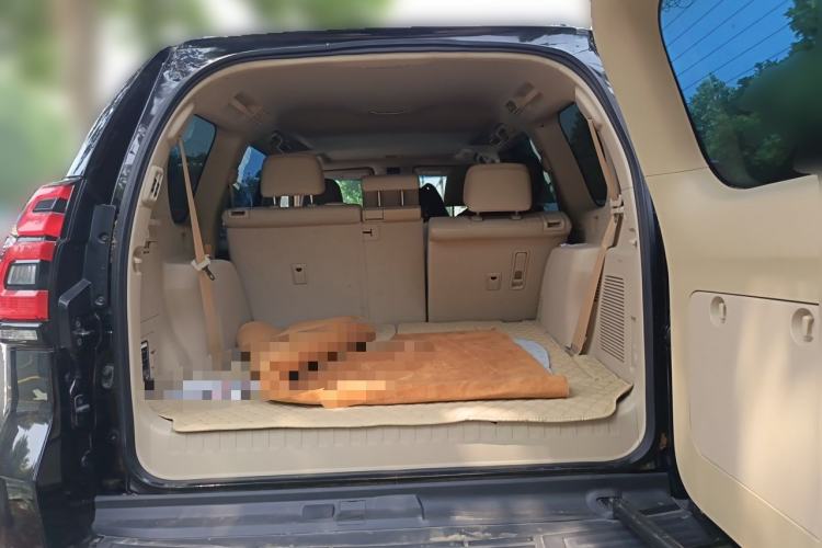 Used Toyota Prado 2018 3.5L Automatic TX-L Trunk