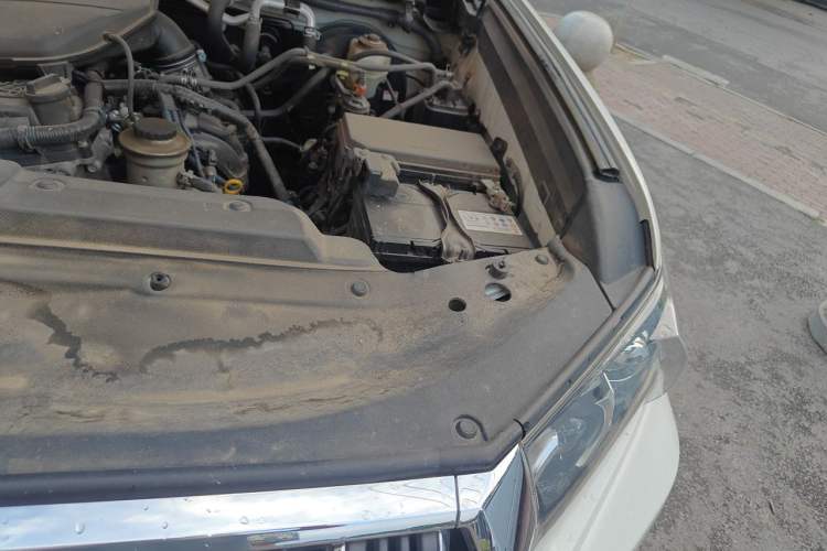 Used Toyota Prado  Engine Bay Left