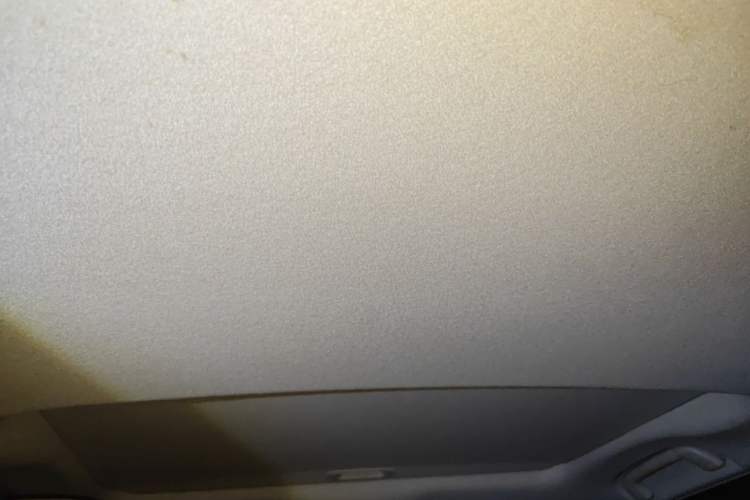 Used Toyota Prado 2018 3.5L Automatic TX Headliner